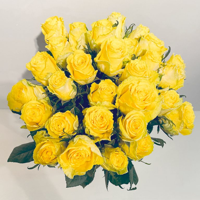 Roses jaunes fête des mères